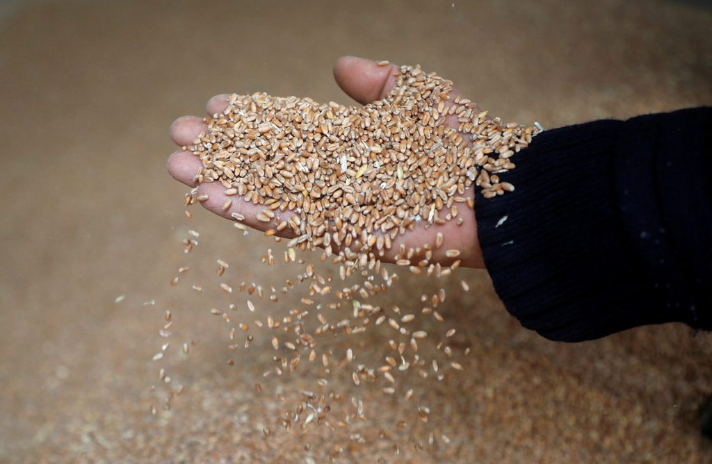 A worker displays grains of wheat at a mill in Lebanon, where the cost of a loaf of bread rose 70 percent in March