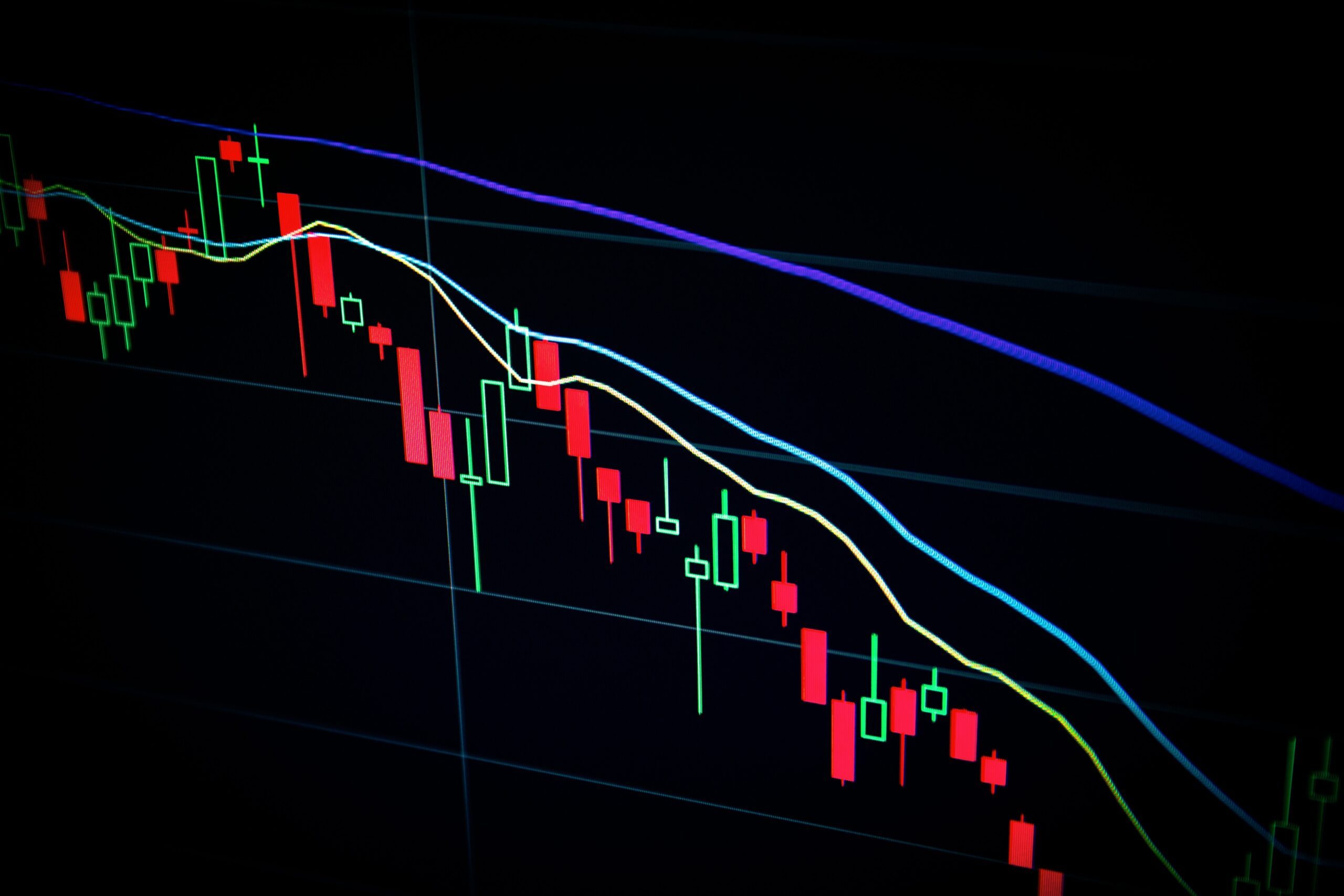 Almost all stock prices were down