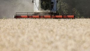 Nature, Outdoors, Harvest