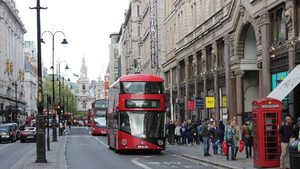 Person, Human, Bus