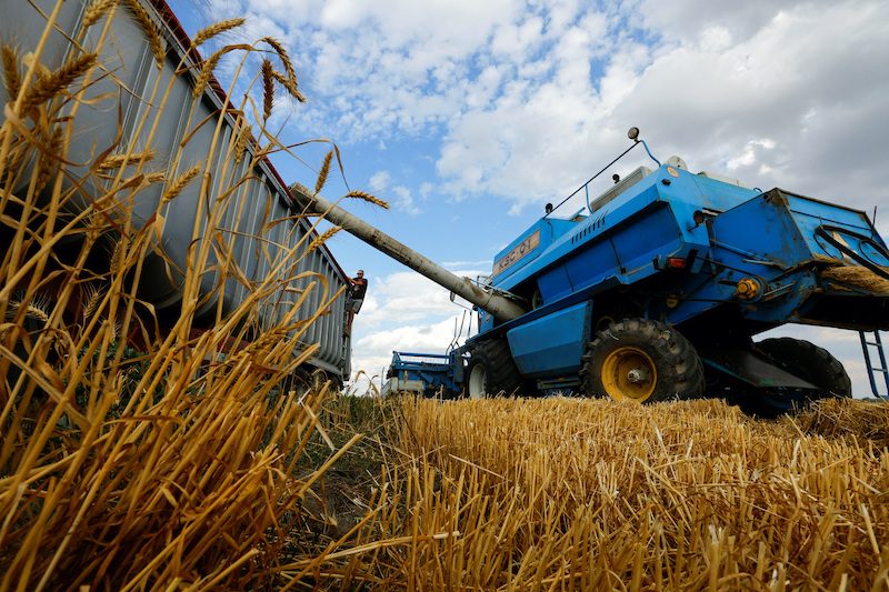 A combine loads a truck of grain while harvesting wheat during Ukraine-Russia conflict