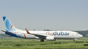 Airplane, Aircraft, Vehicle