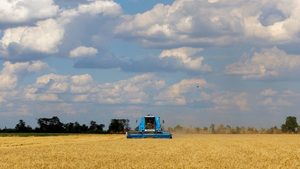 Nature, Outdoors, Harvest