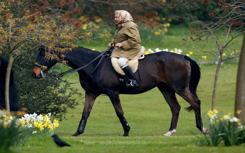 Queen Elizabeth II rides her horse on the grounds of Windsor Castle