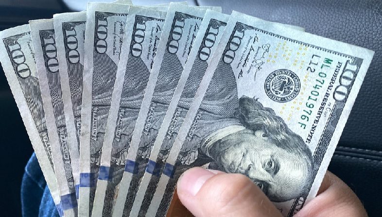Person, Human, Money