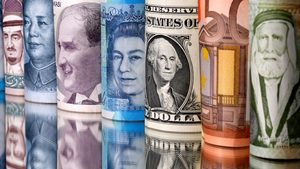 Money, Dollar, Person