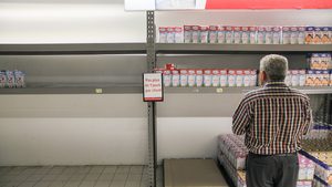 Person, Human, Shelf
