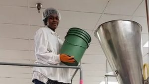 Person, Human, Bucket
