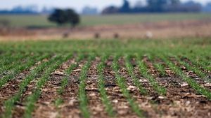 Morocco's decline in the agriculture sector has hit its economy hard