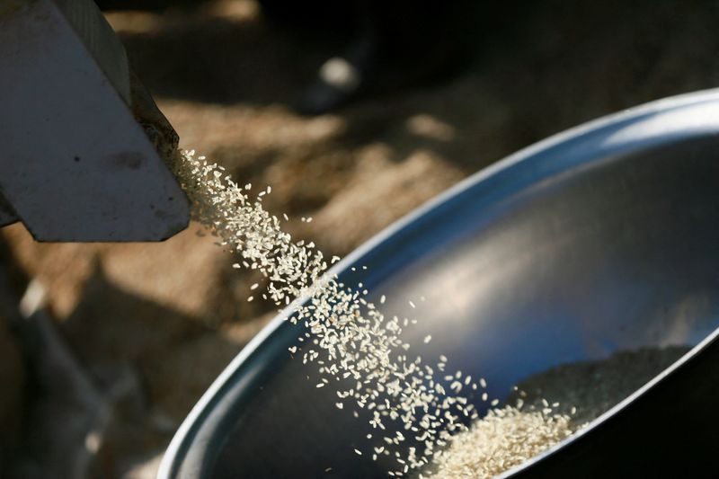 Plant, Food, Grain