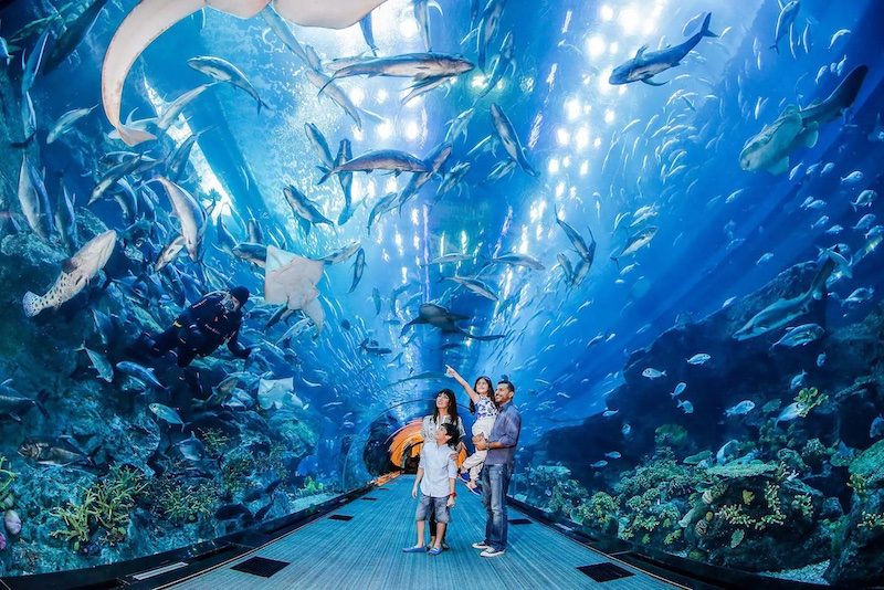 The Entertainer app offers deals in many sectors including attractions, such as the Dubai Aquarium and Underwater Zoo