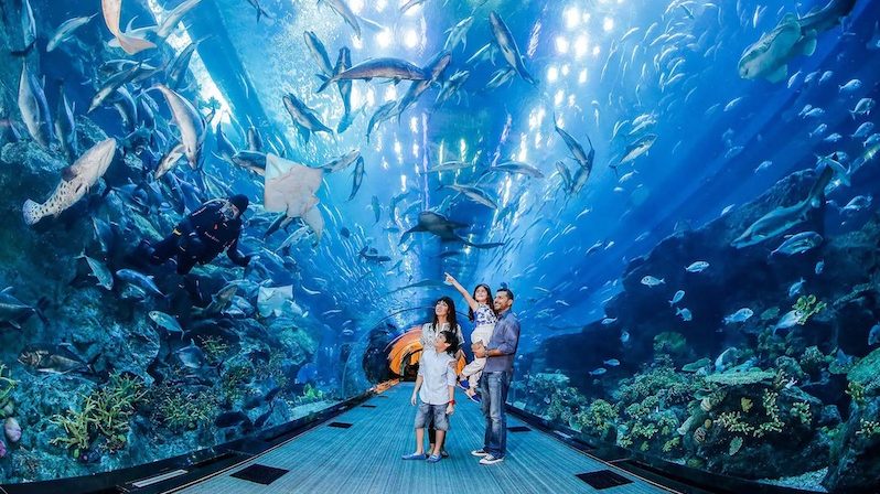 The Entertainer app offers deals in many sectors including attractions, such as the Dubai Aquarium and Underwater Zoo
