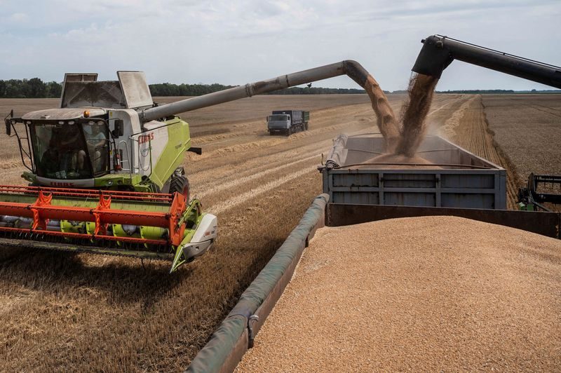 Harvest, Nature, Outdoors