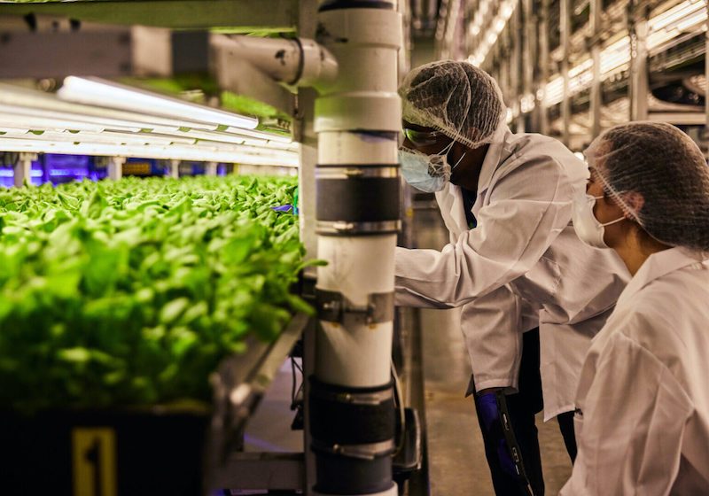 women at aero farms