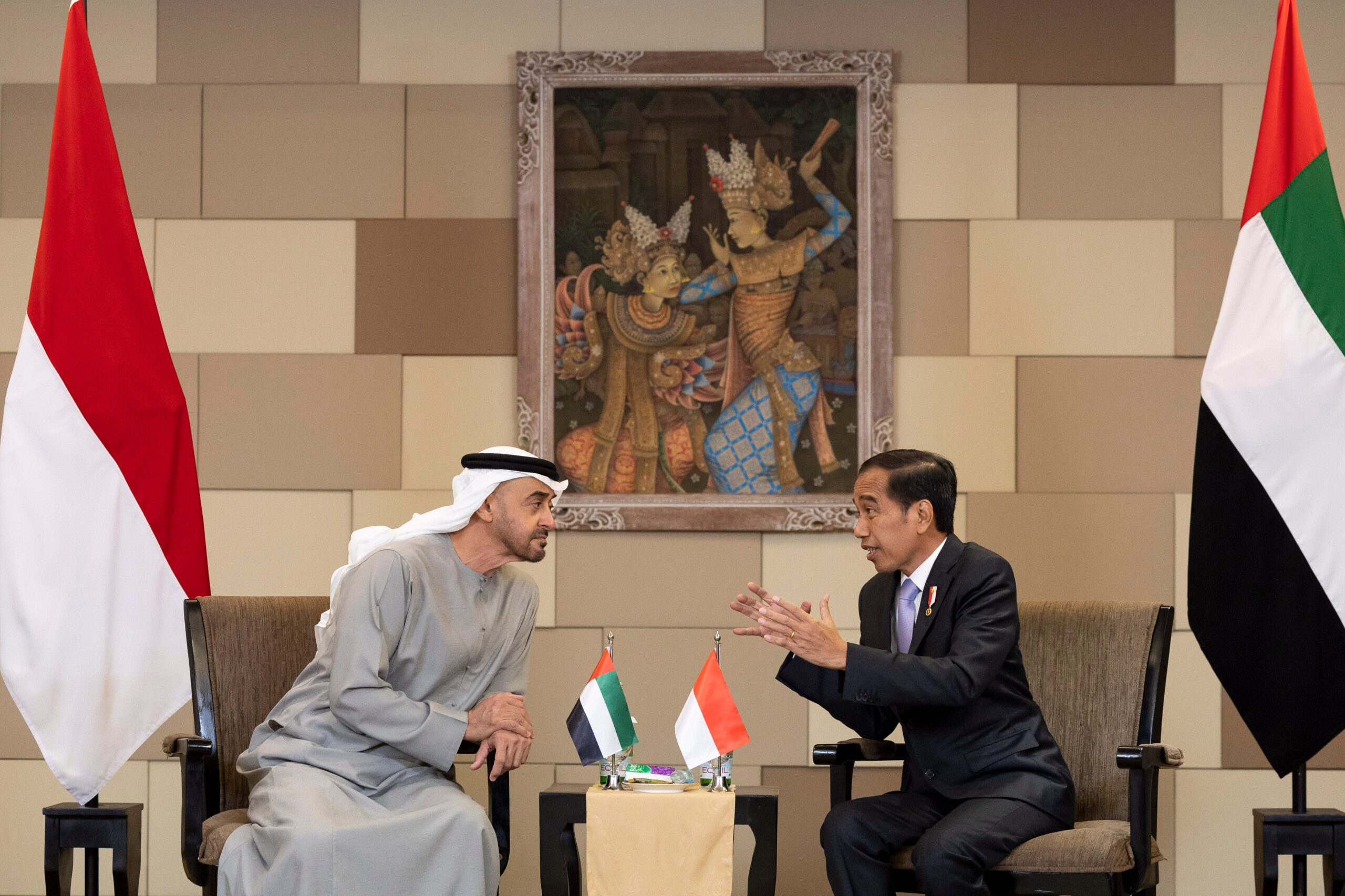 Sheikh Mohamed Bin Zayed, president of the UAE, talks to his Indonesian counterpart, Joko Widodo, at the G20 summit in Bali on November 14