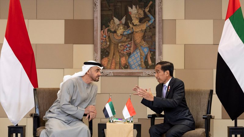 Sheikh Mohamed Bin Zayed, president of the UAE, talks to his Indonesian counterpart, Joko Widodo, at the G20 summit in Bali on November 14