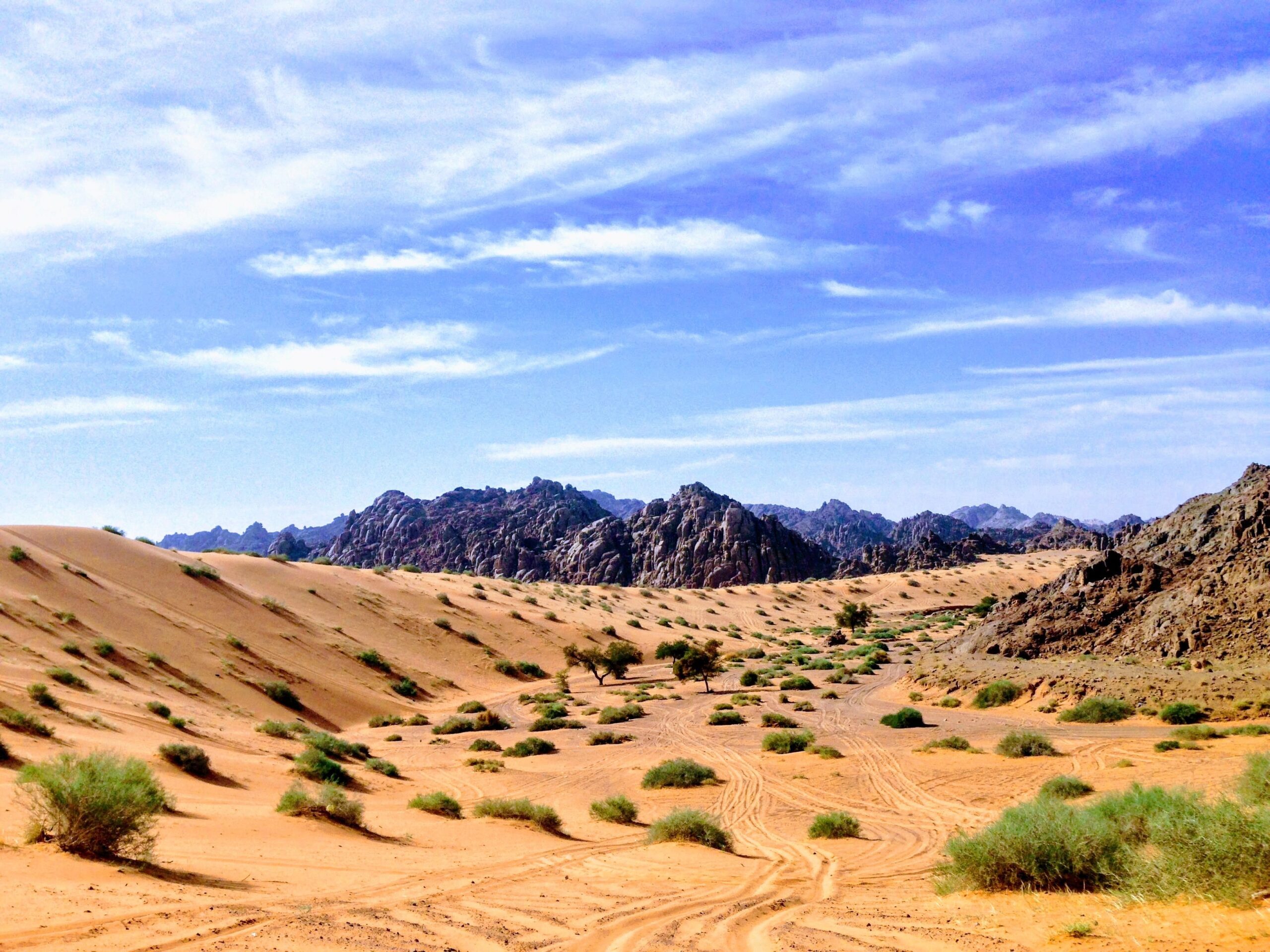 The desert in Ha'il, northwest Saudi Arabia. The kingdom also has beaches, ancient ruins and holy sites