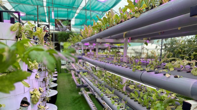 A vertical farm in Sharjah. Similar facilities are being developed around the Gulf