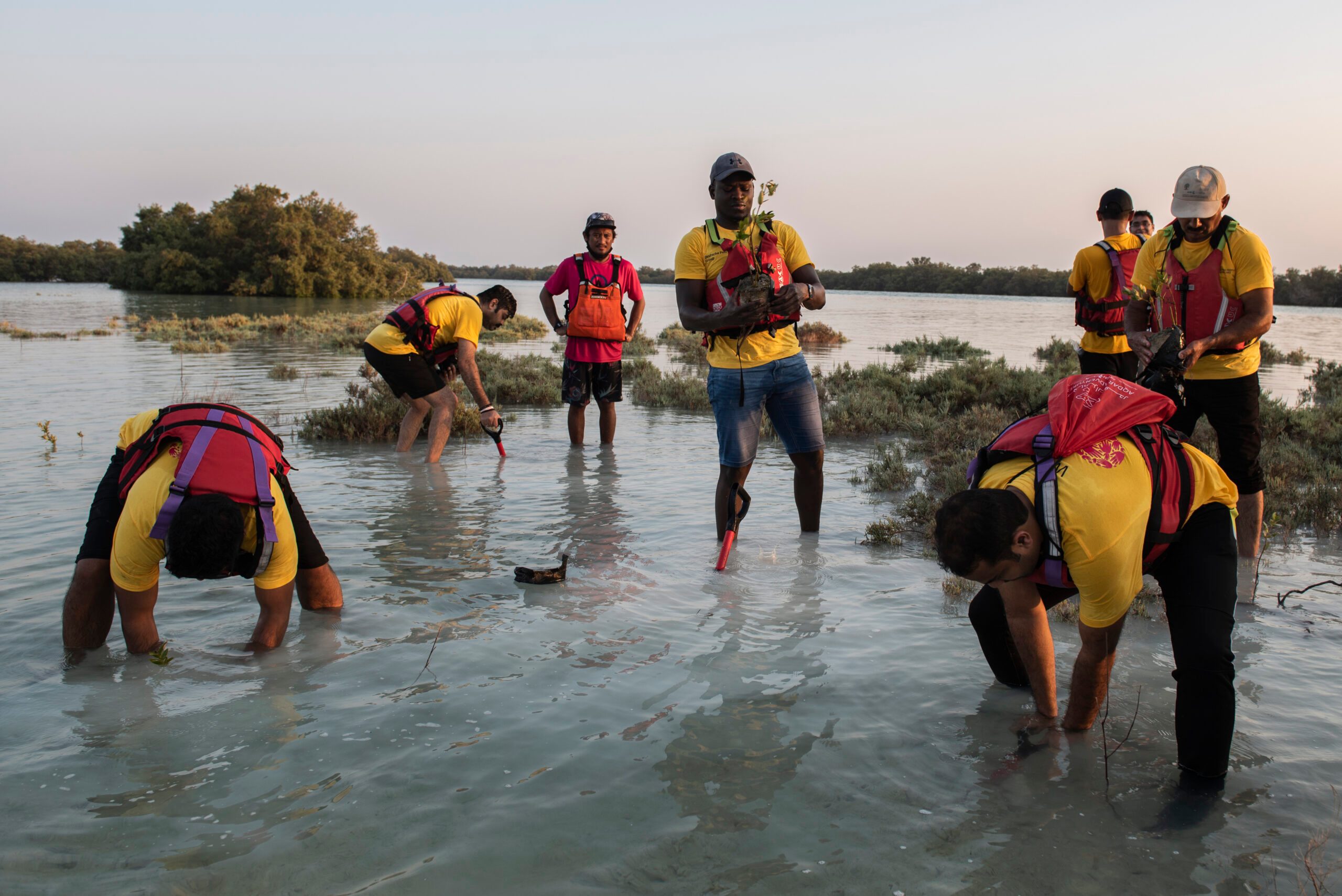 Corporate staff take part in a mangrove planting event organised by Companies for Good on Jubail Island in Abu Dhabi. ESG targets are prompting businesses to consider their impact on the planet. Picture: Vidhyaa Chandramohan/Sopa Images/Sipa USA 