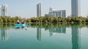 Volunteers take part in a mangrove clean-up in Abu Dhabi, protecting the trees and shrubs that are great at storing carbon