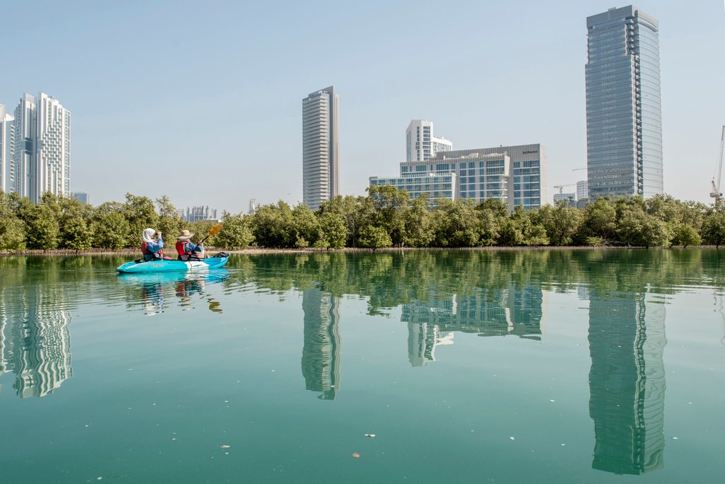 Volunteers take part in a mangrove clean-up in Abu Dhabi, protecting the trees and shrubs that are great at storing carbon