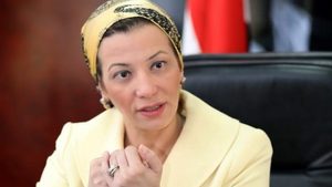 After criticism of oil producers at Cop27, Egypt's environment minister Yasmine Fouad said all stakeholders need to be part of the conversation