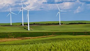 The 70-turbine wind farm will cover an area of 57 sq km