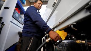 Fossil fuels should stop being subsidised, says Dr Nasser Saidi