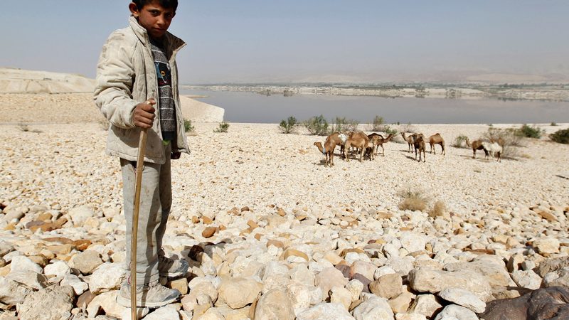 A boy shepherds camels near Jordan's Al Karamah Dam, shrunk by drought