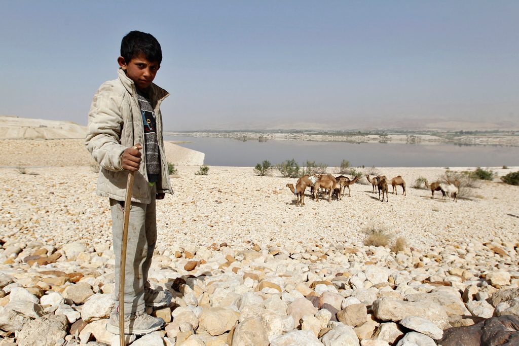 A boy shepherds camels near Jordan's Al Karamah Dam, shrunk by drought