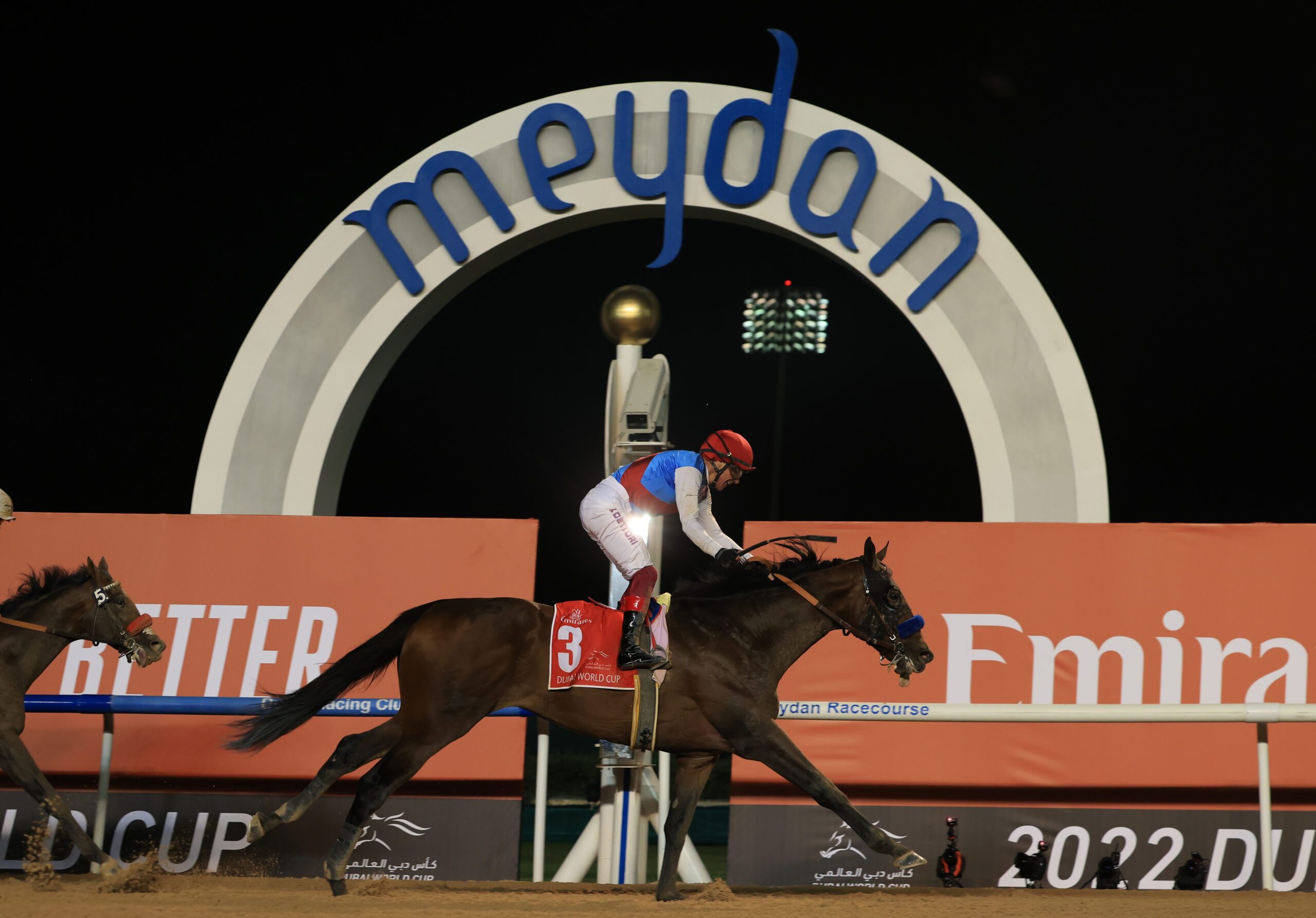 horse, jockey