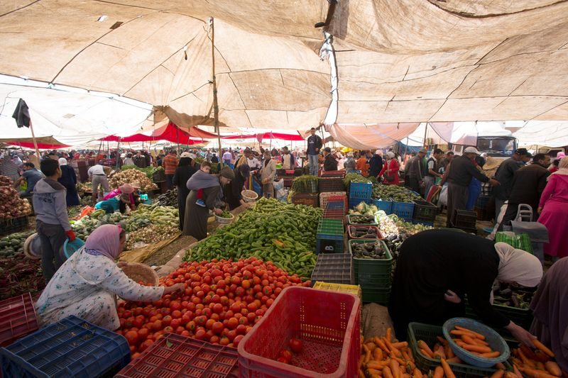Morocco vegetable exports