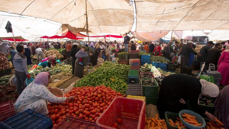 Morocco vegetable exports