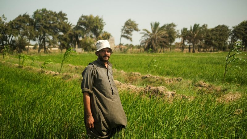 Egypt water scarcity