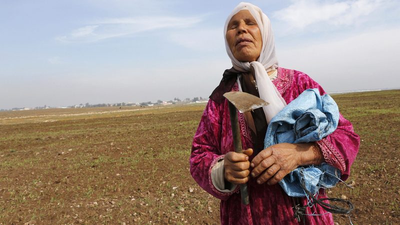 229,000 jobs were lost in the past year in rural parts of Morocco, where climate change and water misuse are blamed for the drought