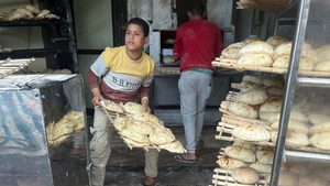 Egypt lower commodity prices