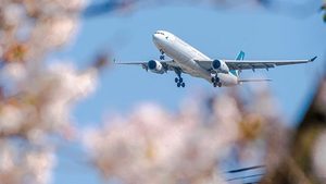 Aircraft, Airliner, Airplane