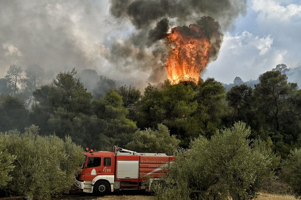 A forest fire begins to burn out of control in Greece. Cop28 president Sultan Al Jaber wants more money for communities threatened by climate change
