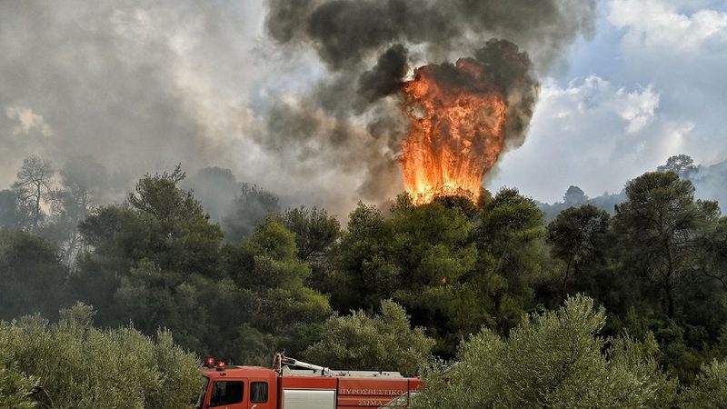 A forest fire begins to burn out of control in Greece. Cop28 president Sultan Al Jaber wants more money for communities threatened by climate change