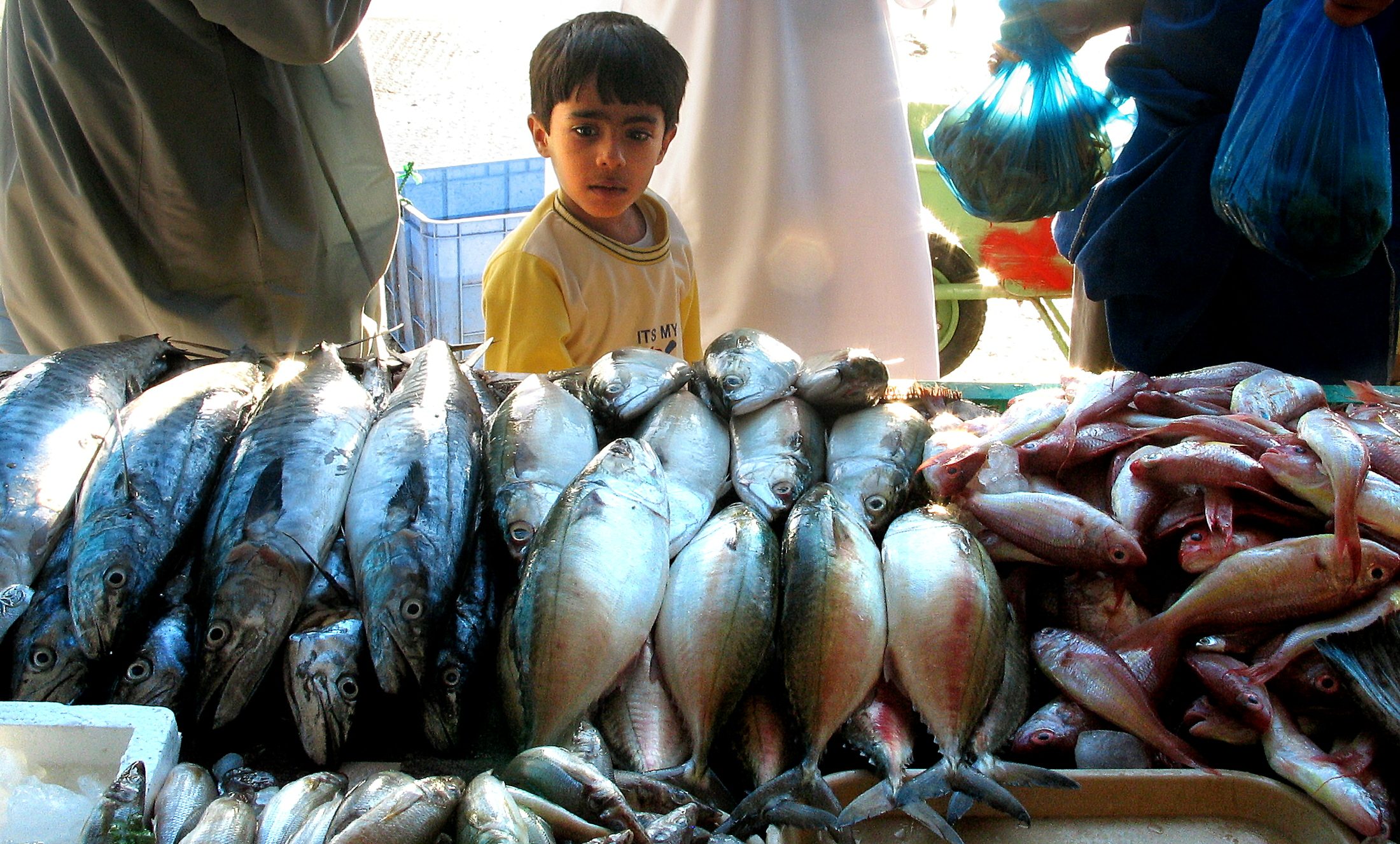 UAE salmon farm