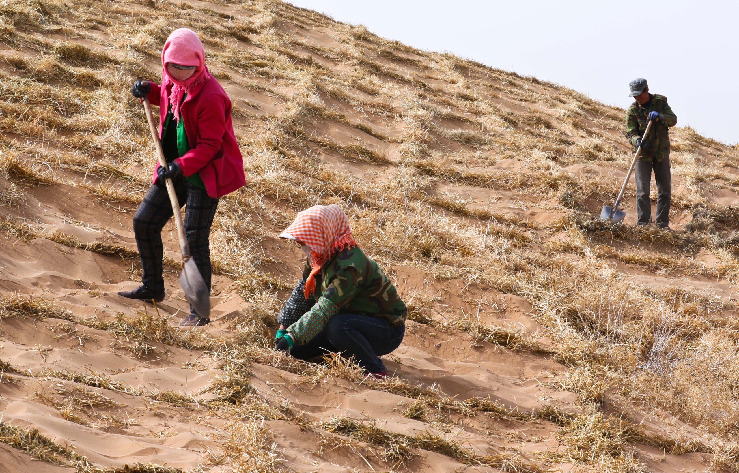 Drought and desertification in China