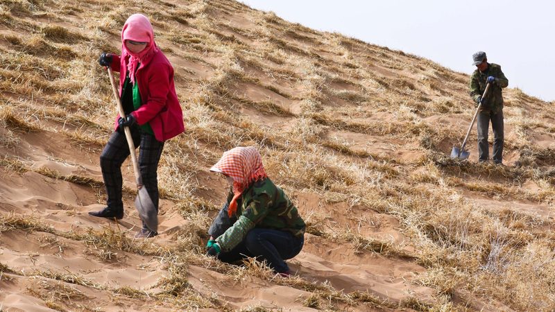 Drought and desertification in China