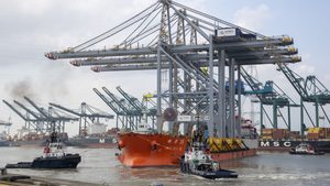 Three new ship-to-shore cranes, part of a $218m modernisation programme, arrive at DP World in Antwerp, Belgium