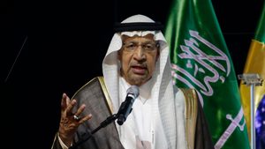 Saudi minister of investment Khalid al-Falih is head of Saudi Arabia's Economic Cities and Special Zones Authority