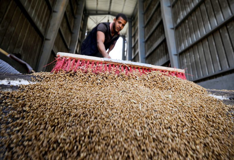 The UN estimates that earthquake damage will affect more than 20% of Ankara’s agri-food exports
