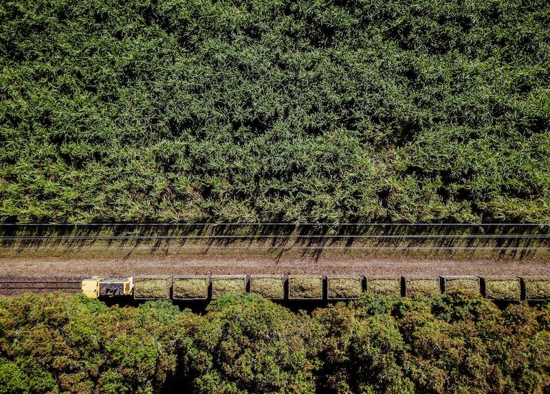 Mubadala Atvos sugar cane processor