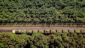 Mubadala Atvos sugar cane processor