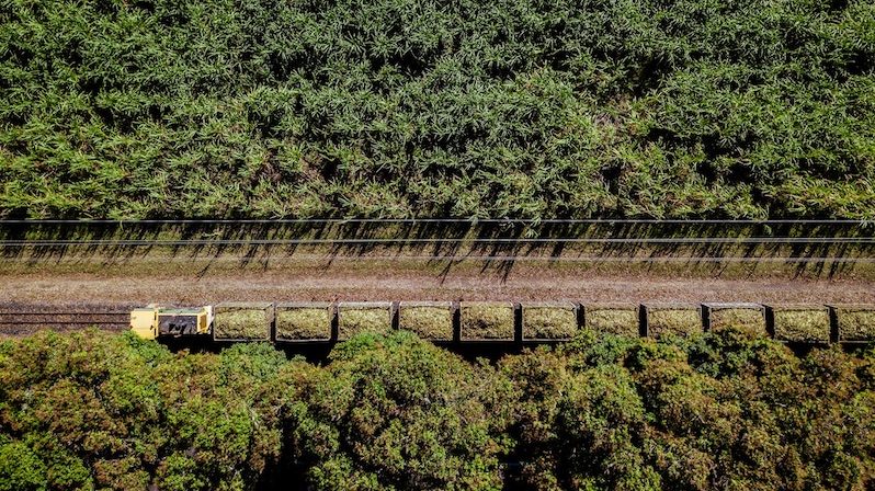 Mubadala Atvos sugar cane processor