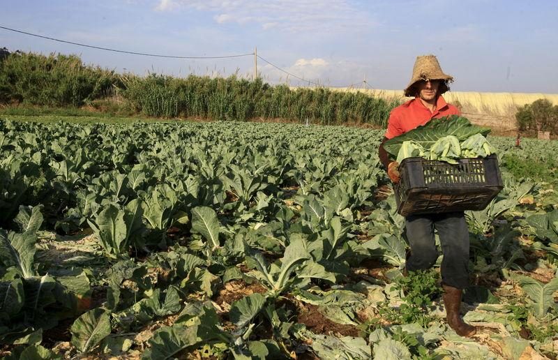 A farmer in Tipaza, west of Algiers. Sluggish agricultural production has led to a spike in Algerian food prices