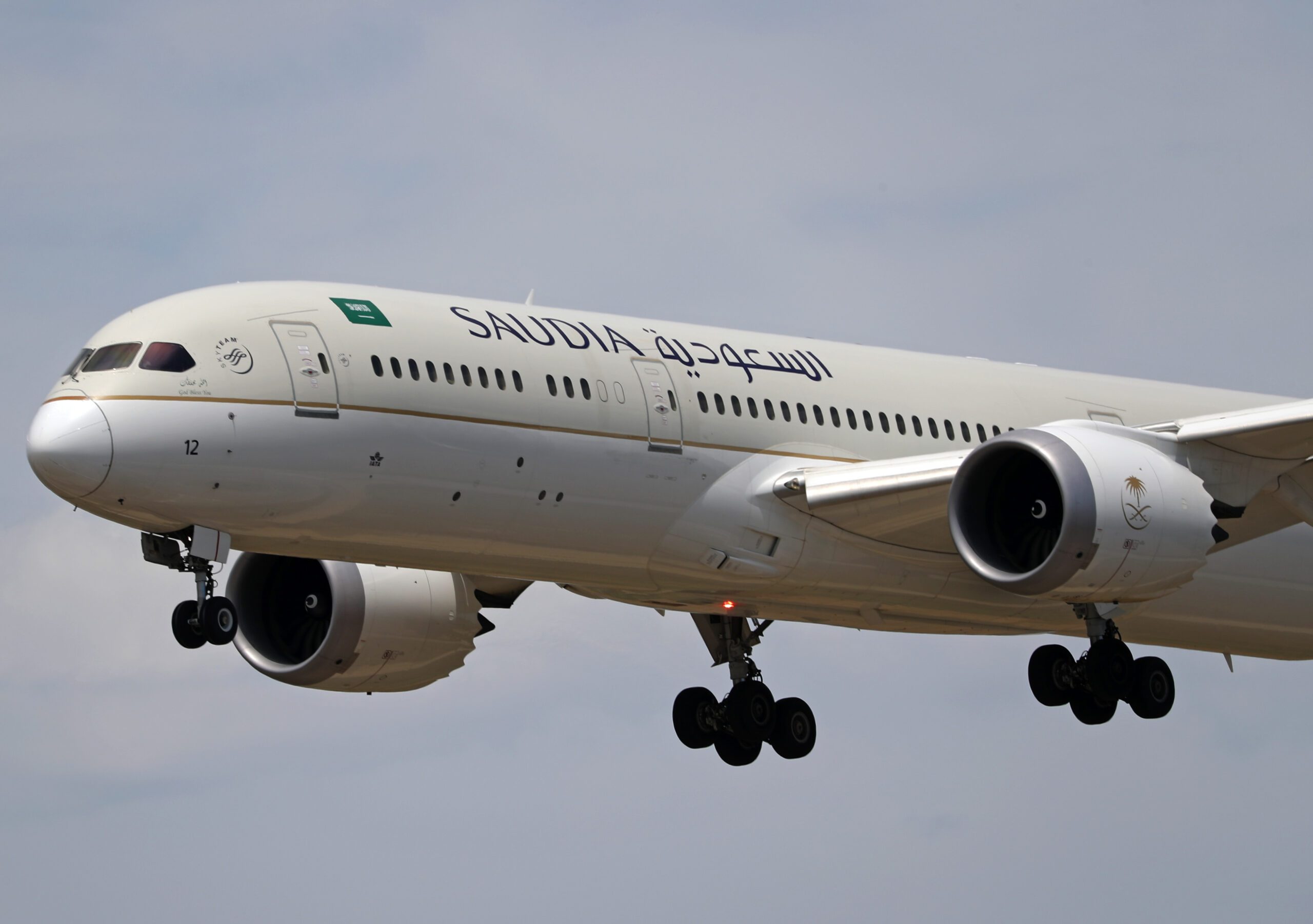 SAL is owned by Saudi Arabian Airlines - Saudia - and Tarabot